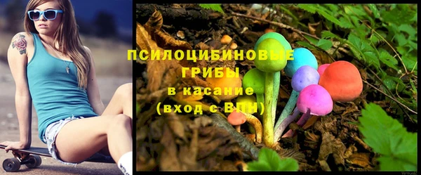 бошки Новозыбков