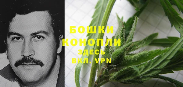 бошки Новозыбков