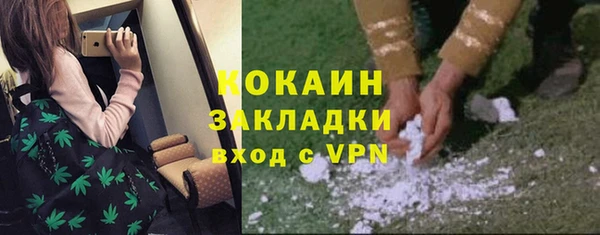 бошки Новозыбков