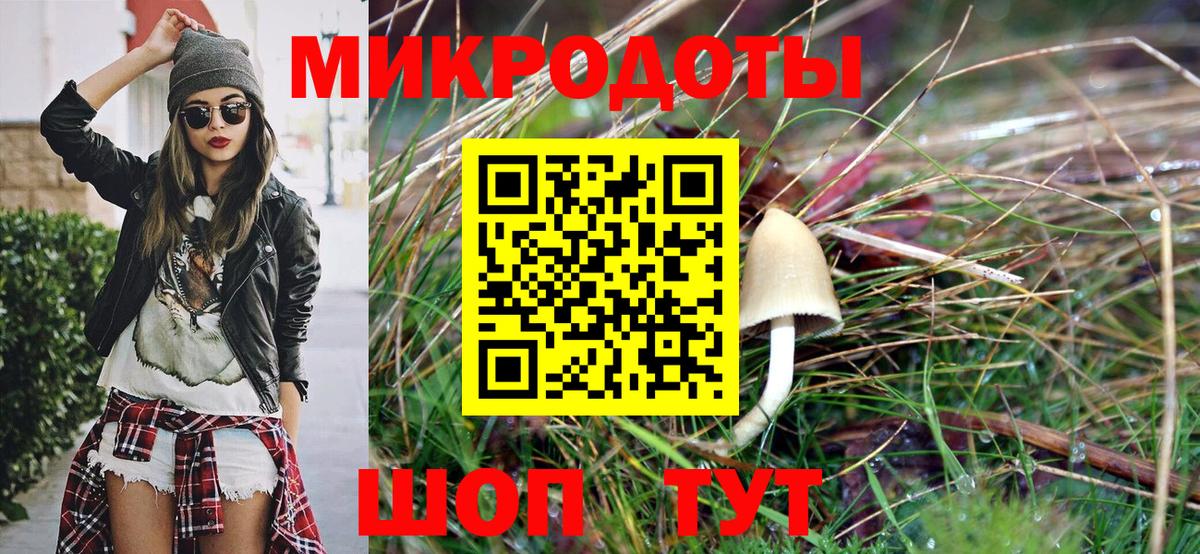 Галлюциногенные грибы Psilocybine cubensis  Вход с VPN  Кимры 
