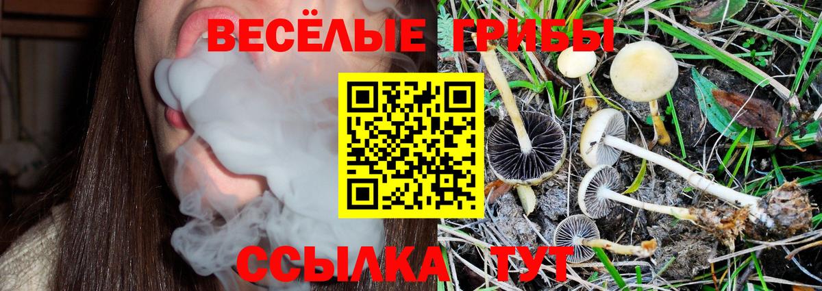Псилоцибиновые грибы Magic Shrooms Кимры