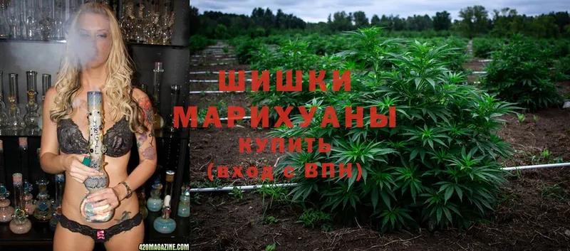 где купить наркоту  Кимры  Бошки Шишки Ganja 